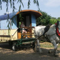 Votre excursion avec Roulottes Sud Vendée
